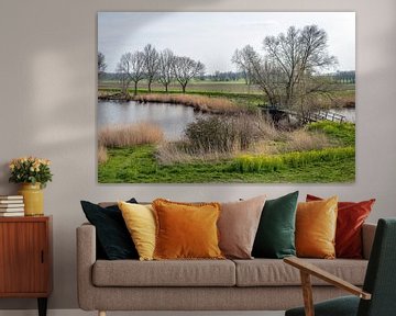 Waterrijk Nederlands landschap in de lente van Ruud Morijn