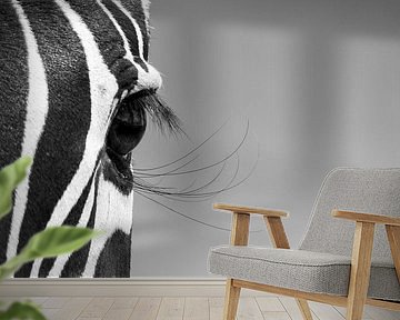 Those lashes.... by Claudia van Zanten