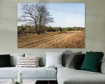 Zandpad in Nationaal Park Loonse en Drunense Duinen van Ruud Morijn