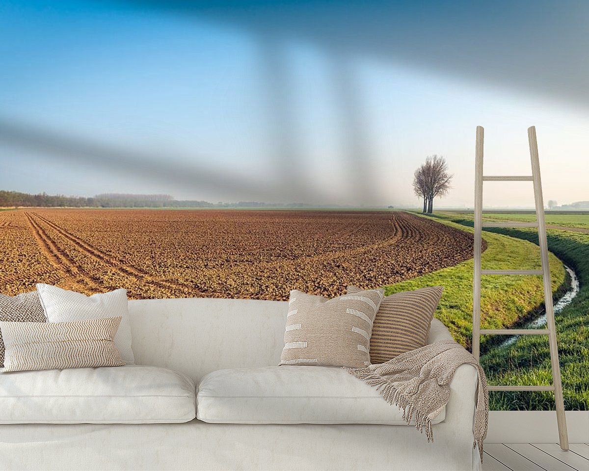 Raumvorschau