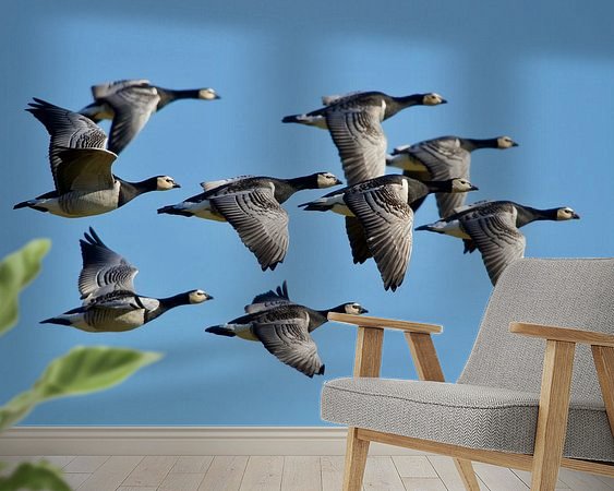 Aperçu de la chambre