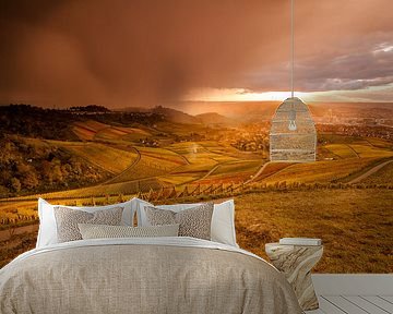 Wijngaarden in de herfst op de Kappelberg bij Stuttgart. Dramatische sfeer.