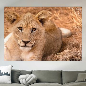 Regarde-moi, regarde ton objectif.