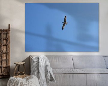 Free like a bird van Daniek Vermeer