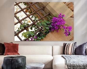 Fleurs violettes sur Daniek Vermeer