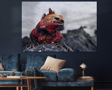 Galapagos Dragon by Ma.Rota