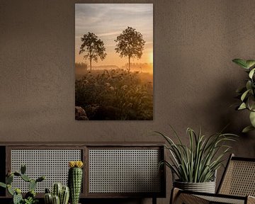 Bomen in de Betuwe in de vroege ochtend van Moetwil en van Dijk - Fotografie