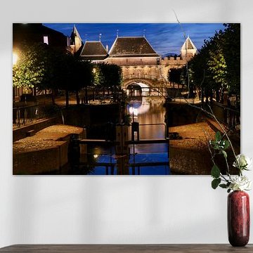 Connecting gate Amersfoort Colour