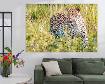 Leopard by Trudy van der Werf