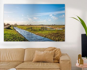 Weg vliegende ganzen in een Nederlandse polder van Ruud Morijn
