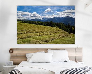Südtirol - Heuernte mit Blick zum Peitlerkofel von Reiner Würz / RWFotoArt
