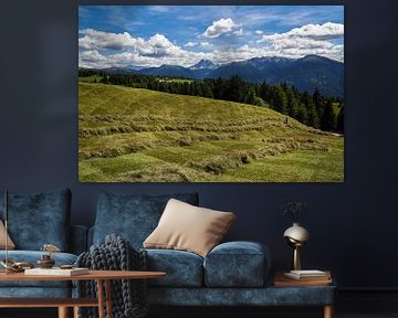 South Tyrol - Hay harvest with view to the Peitlerkofel by Reiner Würz / RWFotoArt