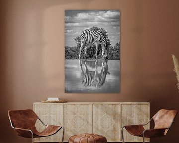 Een zebra drinkend aan een waterpoel met weerspiegeling in het water. van Gunter Nuyts