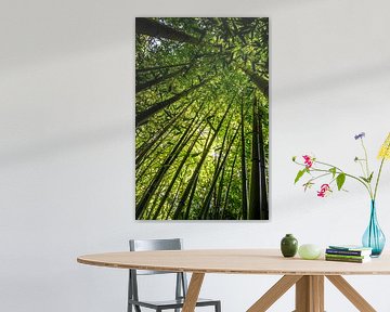 Bamboo by Tanja de Boer
