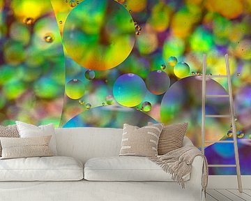 Colors of the World.