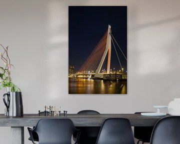 De Erasmusbrug van Rotterdam van Petra Brouwer