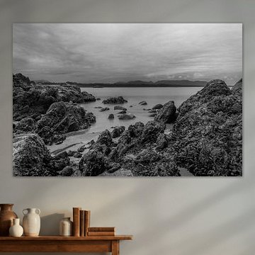 Felsenküste Vancouver Island