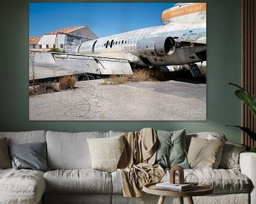 Abandoned Airplane in Decay. by Roman Robroek