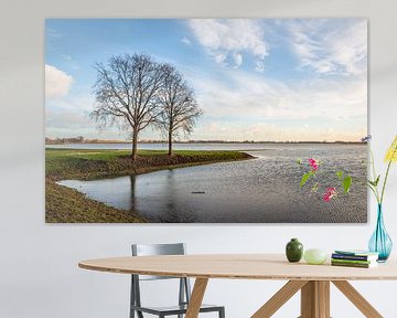 Two bare trees in a flooded Dutch polder by Ruud Morijn