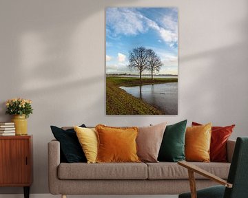 Twee kale bomen in een ondergelopen Nederlandse polder van Ruud Morijn