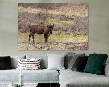 European Bison by Marianne Jonkman