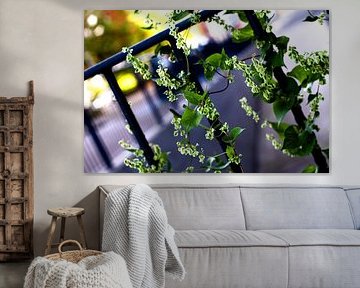 Knopf in der Blume von Joki Tien