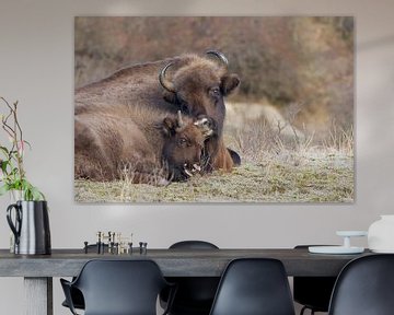 Motherly Love European Bison by Marianne Jonkman