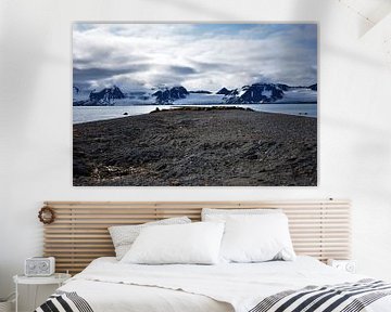 Walrus territory Svalbard (Spitsbergen) by Senne Koetsier