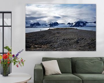 Walrus Territorium Svalbard (Spitsbergen) van Senne Koetsier