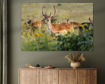 Verstanden! von Max ter Burg Fotografie