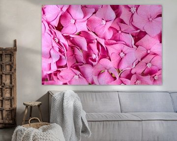 Roze bloemen van Harry Wedzinga
