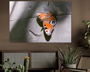 Vlinder op muur van Harry Wedzinga