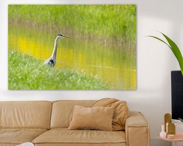 Heron in the fresh spring green by Marianne Jonkman