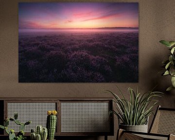 Dutch Heath Sunrise 1 by Vincent Fennis