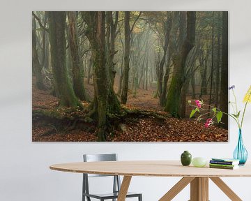 Herbstwald, erstaunlicher Speulderwald von Martin Podt