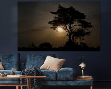 Lever de soleil Kalmthoutse Heide sur Michel Van Lint