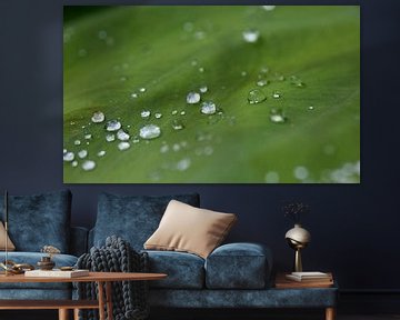 Raindrops by Leontien van der Linden - Wapenaar