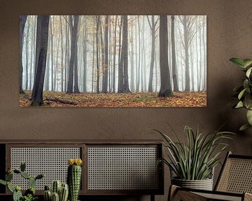 Betoverend bos in het panorama van Tobias Luxberg