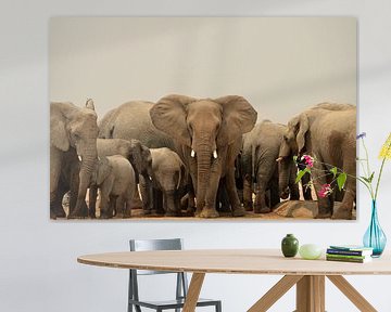 Eye contact with a threatening elephant by Renzo de Jonge