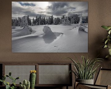 Schwarzwald Lappland von Renato Joller