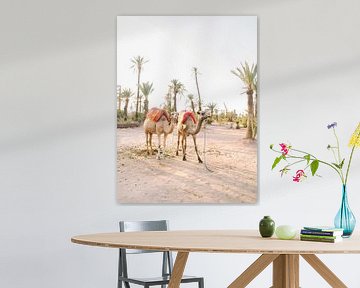 Kamelen in Marrakech van Marjan Kouwenhoven