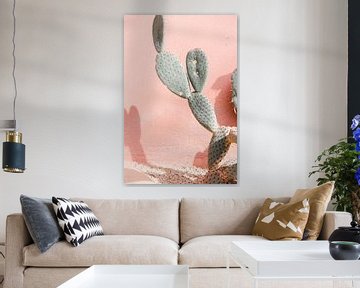 Cactus tegen roze muur - reisfotografie van Robin Polderman