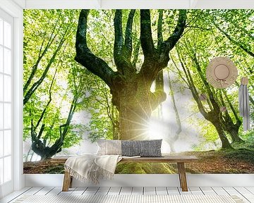 The tree by Franziska Jungen