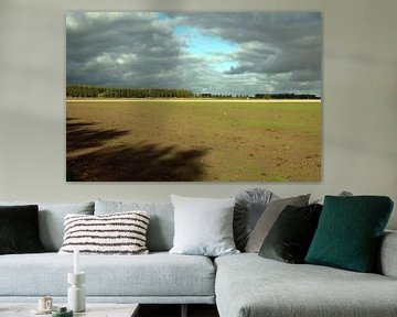 Schatten im turbulenten Polder von Anne Hana