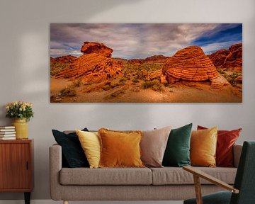 Valley of Fire by Ronnie Westfoto