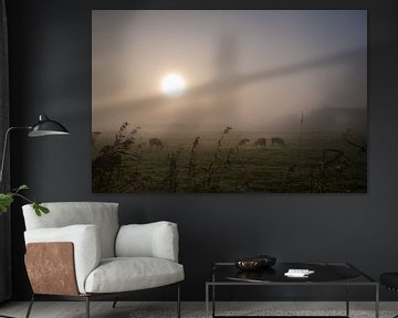 Koeien in de mist van Moetwil en van Dijk - Fotografie