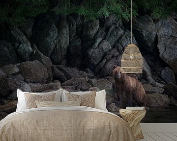 Bruine beer in Alaska