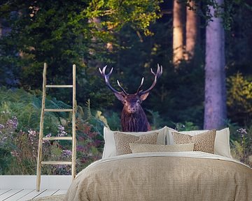 der Hirsch von benjamin Gilson