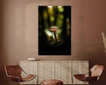 Glowing Mushroom van Thomas Kuipers