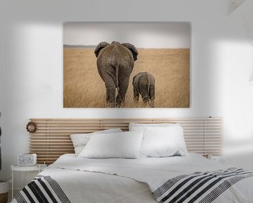 Elefanten in Kenia von Heleen Middel